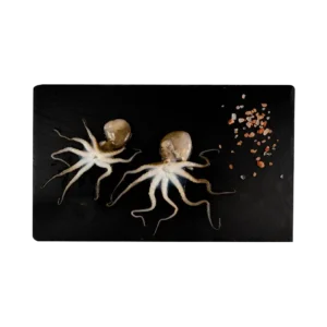 Ośmiornica baby – małe, świeże owoce morza o delikatnym mięsie, idealne do smażenia, grillowania i gotowania