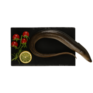 Węgorz patroszony 500 - 800g